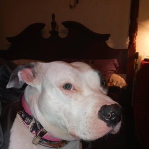 Meet your Posher, Joann